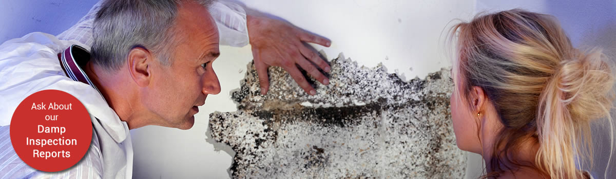 Click for rising damp, flooded basements and condensation quotations